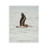 Stupell Industries Pelican Over Sea Animals Photography Unframed Art Print Wall Art, 11 x 14