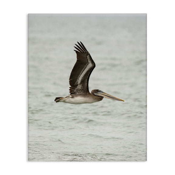 Stupell Industries Pelican Over Sea Animals Photography Wrapped Canvas Art Print Wall Art, 16 x 20
