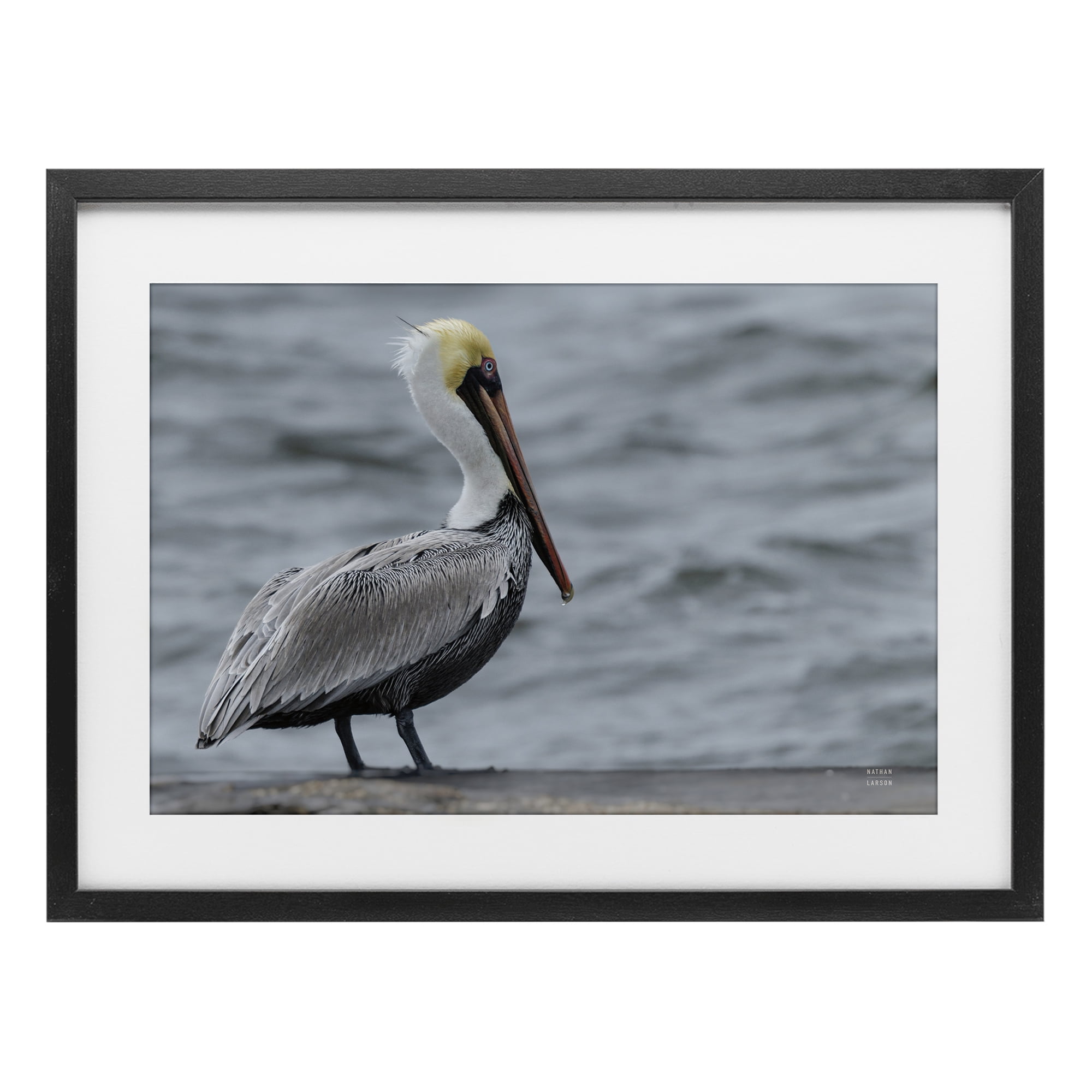 Stupell Industries Pelican Watch Photography Black Framed Print Under Glass, design by Nathan Larson