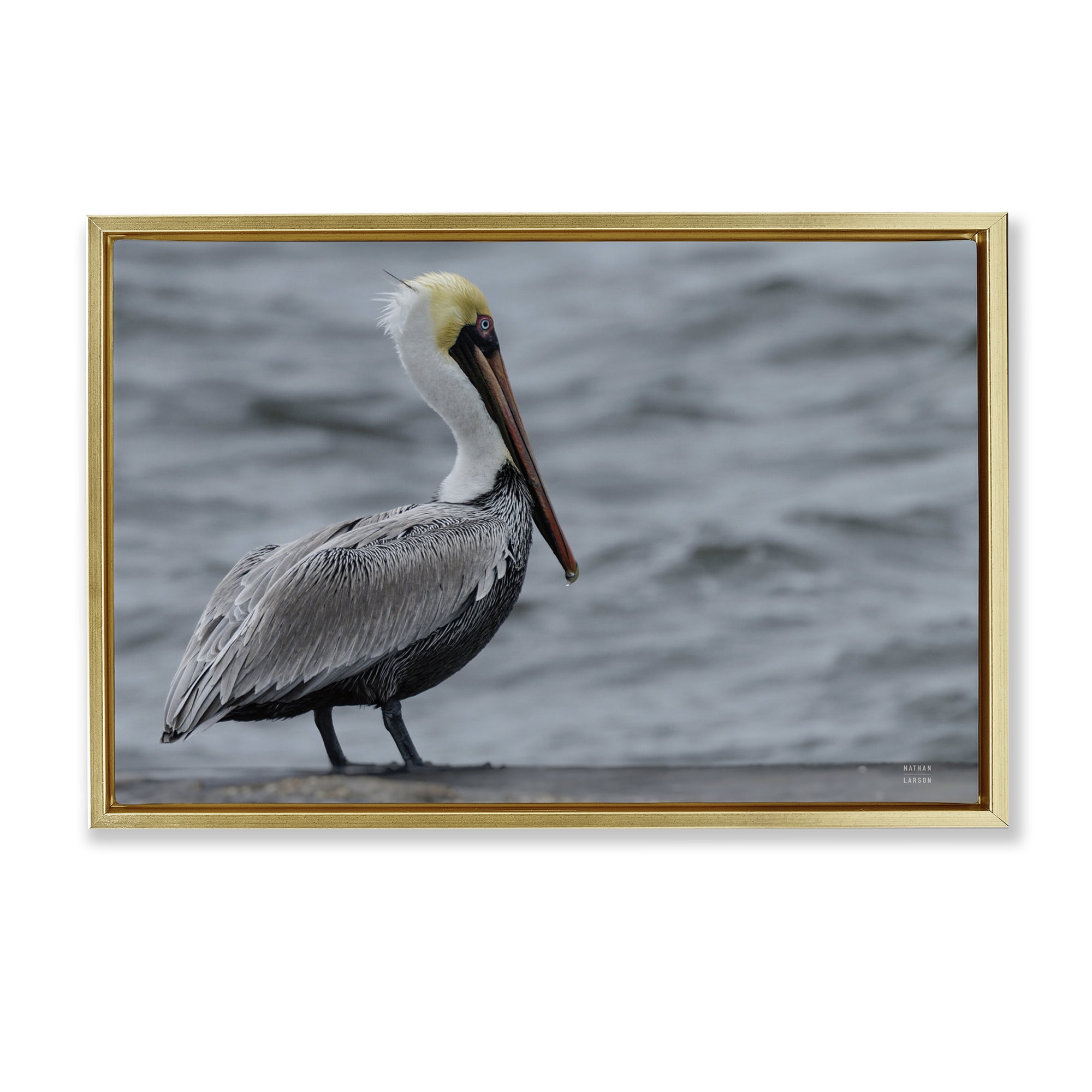 Stupell Industries Pelican Watch Photography Gold Framed Floater Canvas Wall Art, design by Nathan Larson