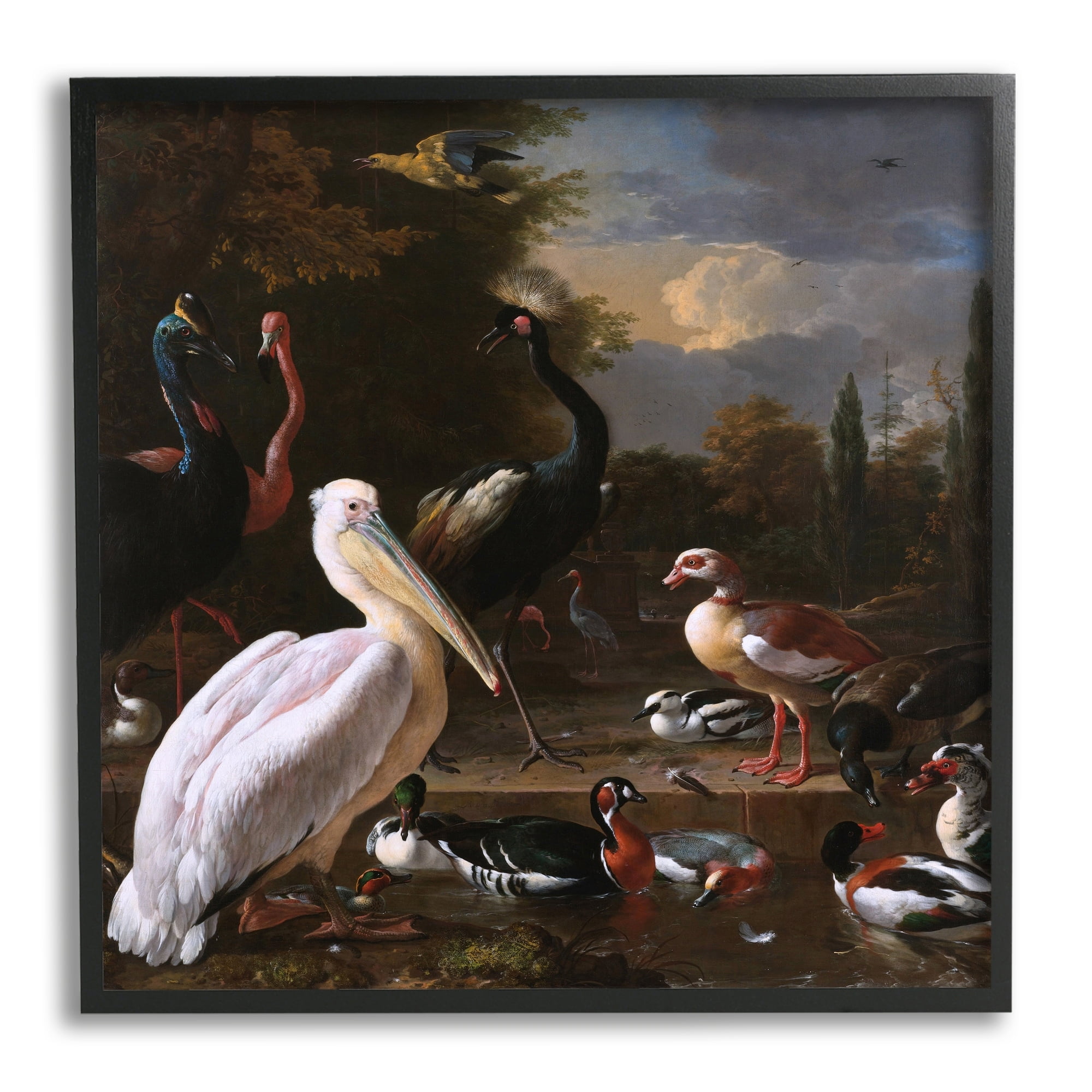 Stupell Industries Pelican and Other Birds Melchior d'Hondecoeter Painting Painting Black Framed Art Print Wall Art, Design by one1000paintings