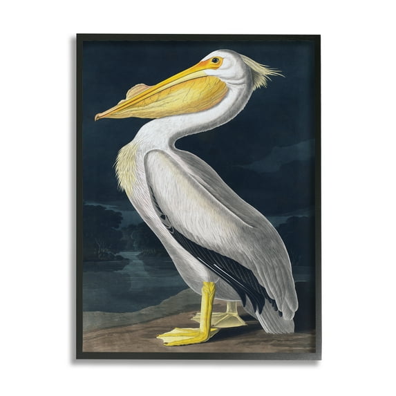 Stupell Industries Pelican on Night Shore Animals & Insects Painting Black Framed Art Print Wall Art, 11 x 14