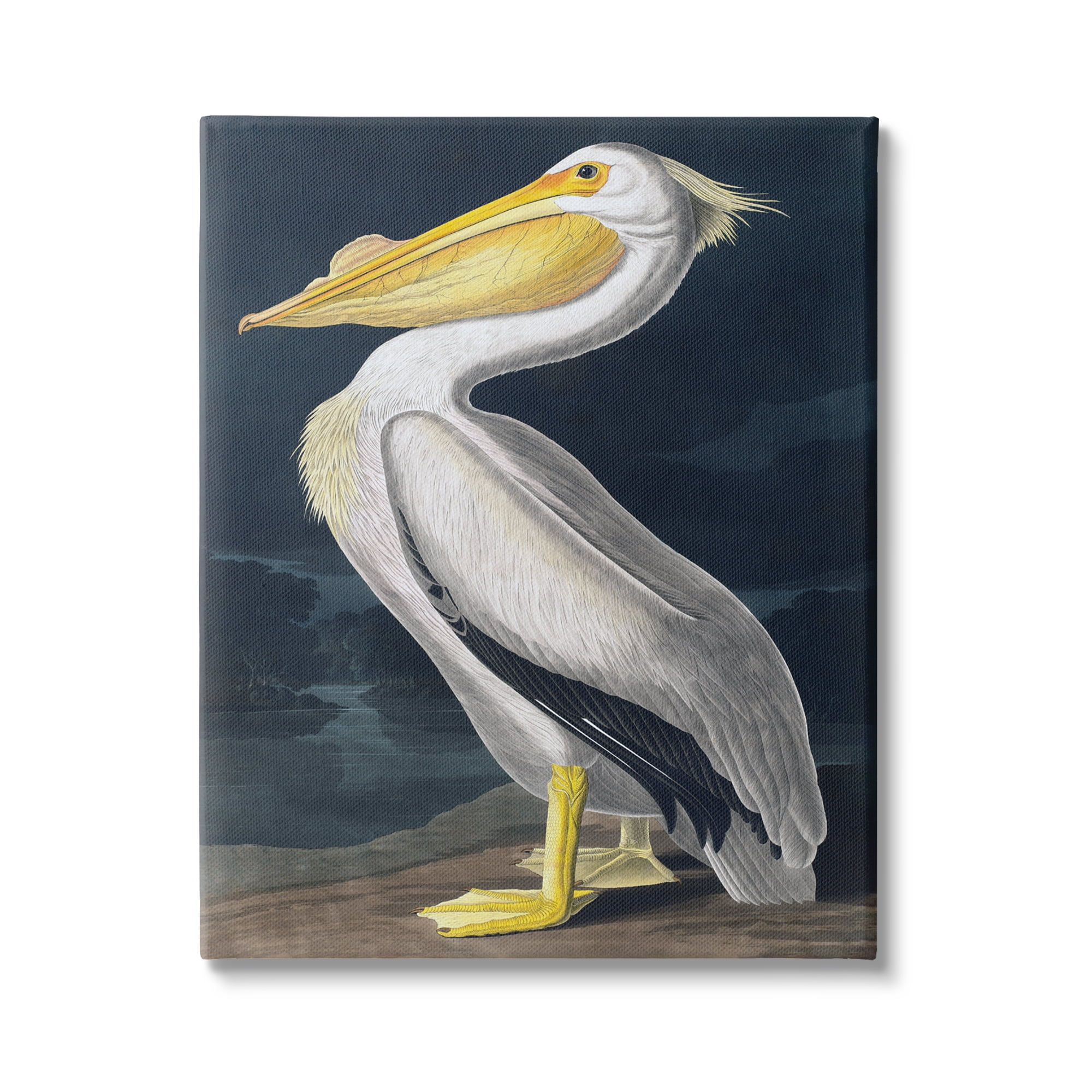 Stupell Industries Pelican on Night Shore Animals & Insects Painting Gallery Wrapped Canvas Art Print Wall Art, 24 x 30