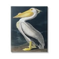 thumbnail image 1 of Stupell Industries Pelican on Night Shore Animals & Insects Painting Gallery Wrapped Canvas Art Print Wall Art, 30 x 40, 1 of 8
