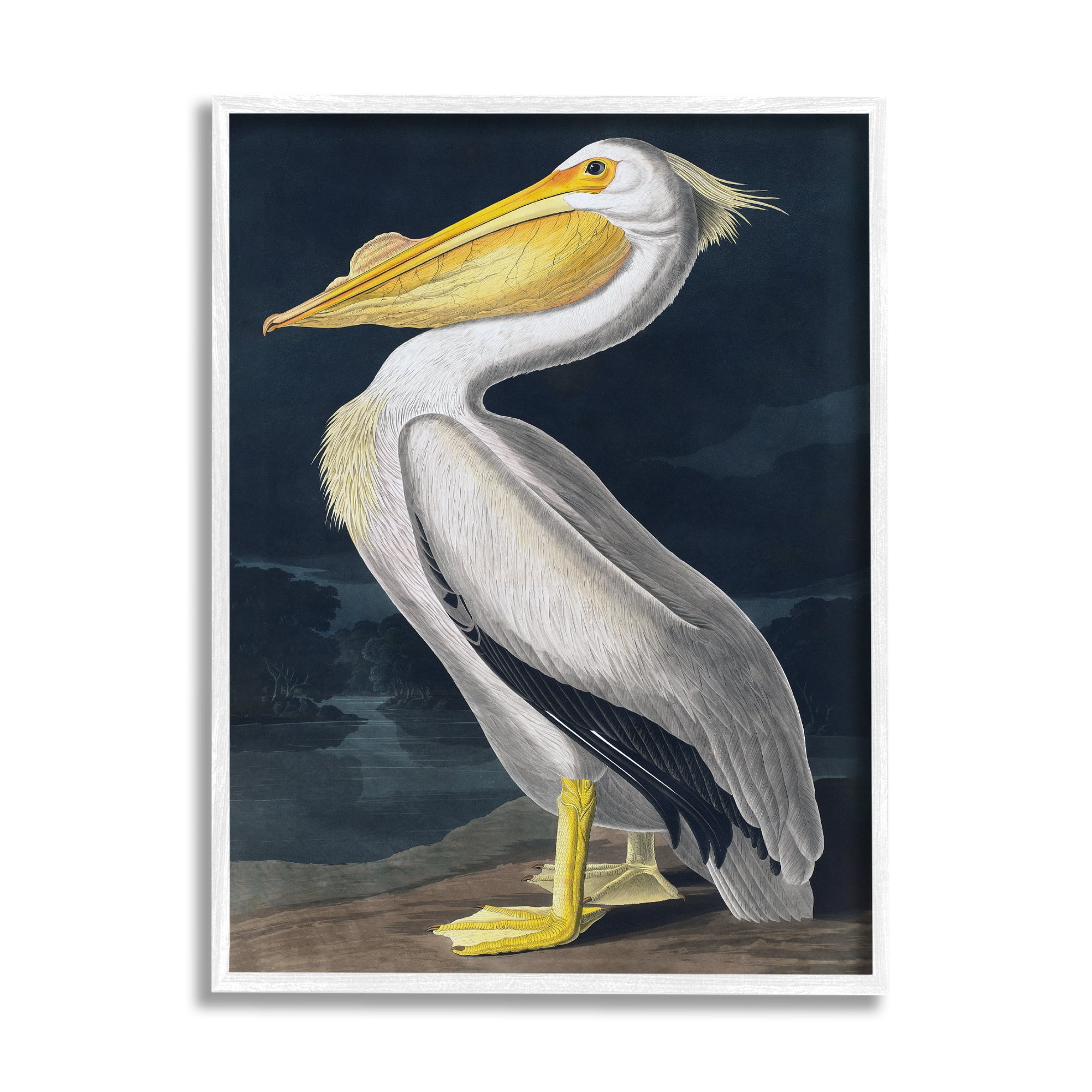 Stupell Industries Pelican on Night Shore Animals & Insects Painting White Framed Art Print Wall Art, 16 x 20