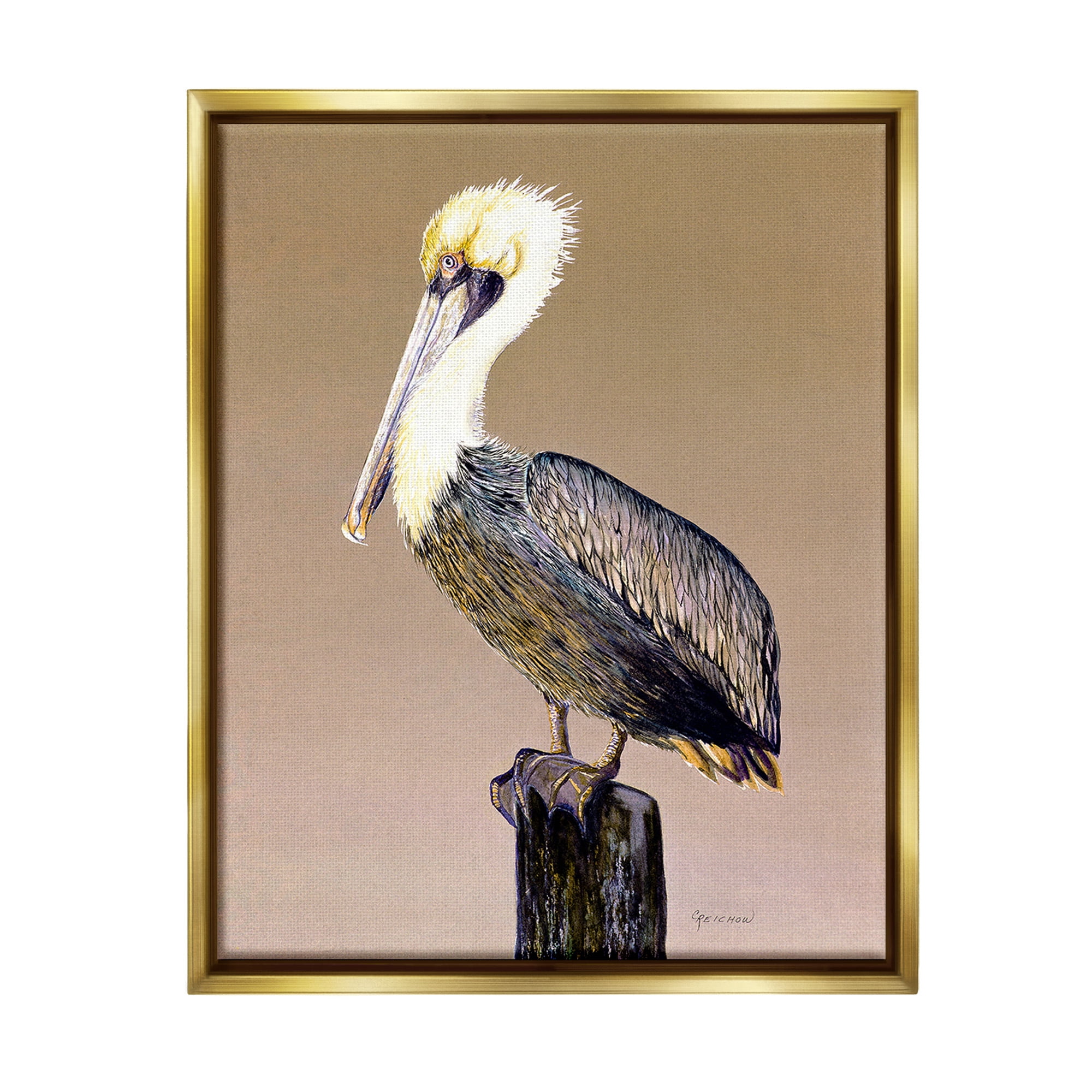 Stupell Industries Pelican on Perch Animals & Insects Painting Gold Floater Framed Canvas Art Print Wall Art, 17 x 21