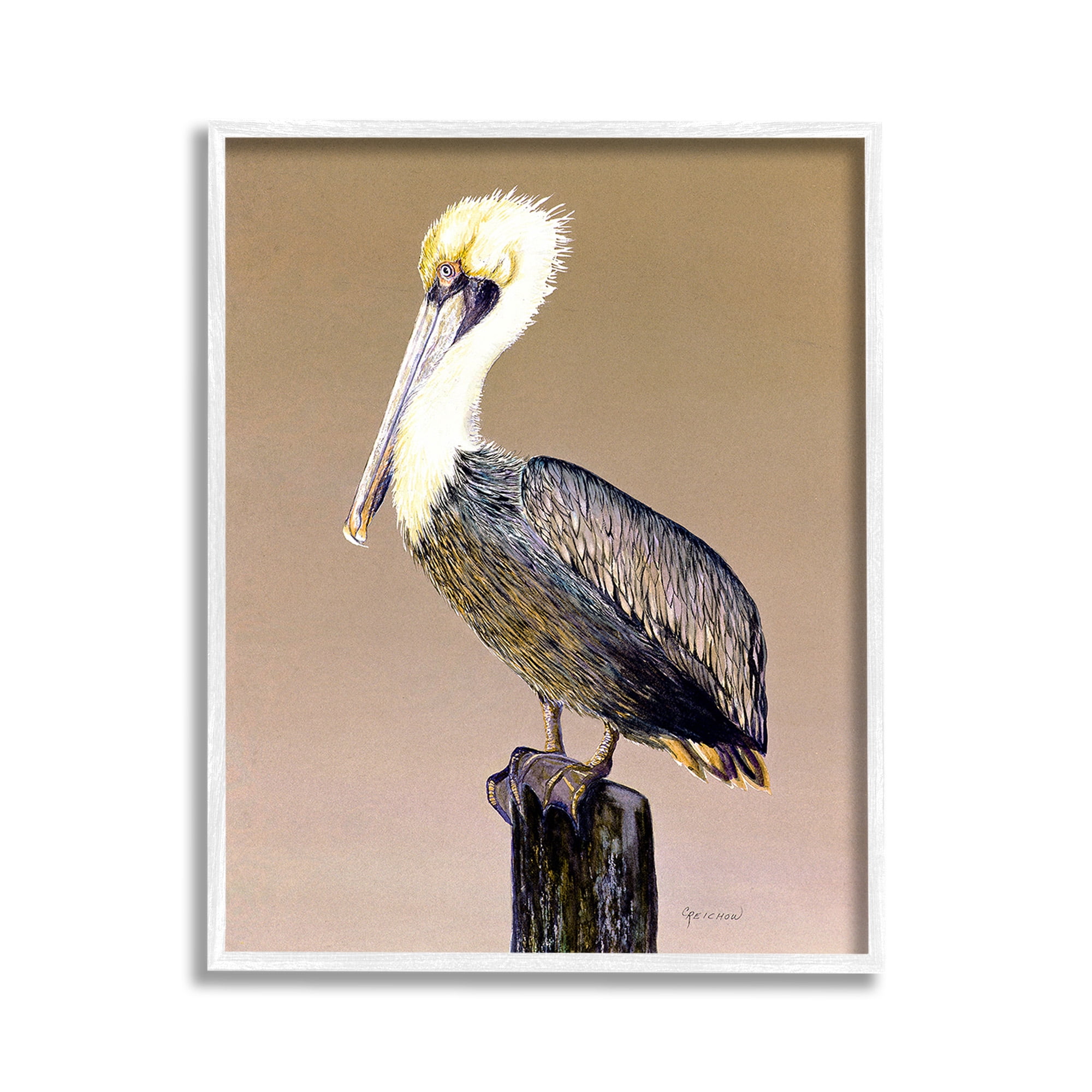 Stupell Industries Pelican on Perch Animals & Insects Painting White Framed Art Print Wall Art, 11 x 14