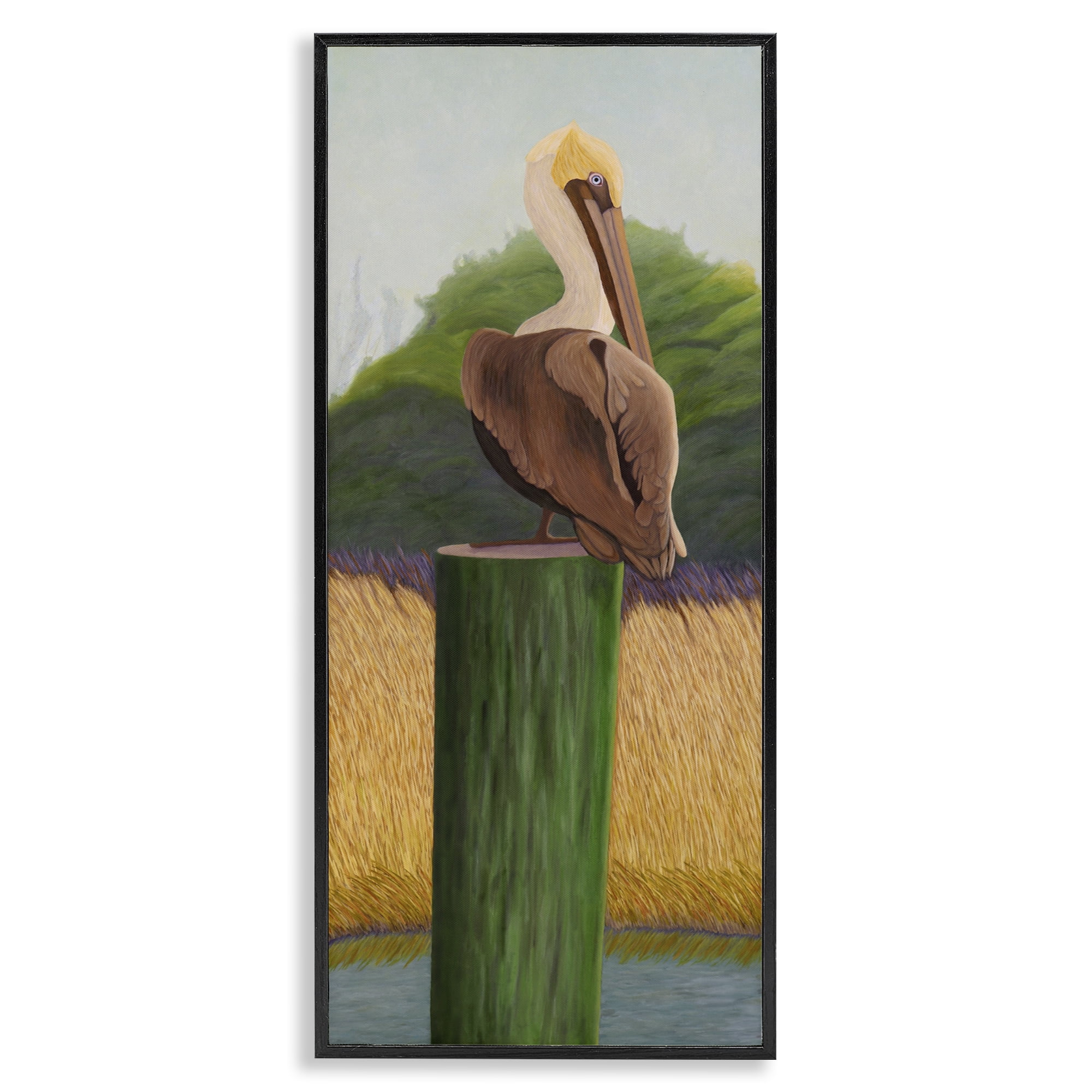 Stupell Industries Pelican with Blue Eyes Black Framed Giclee Art, design by Barbara Fallenbaum