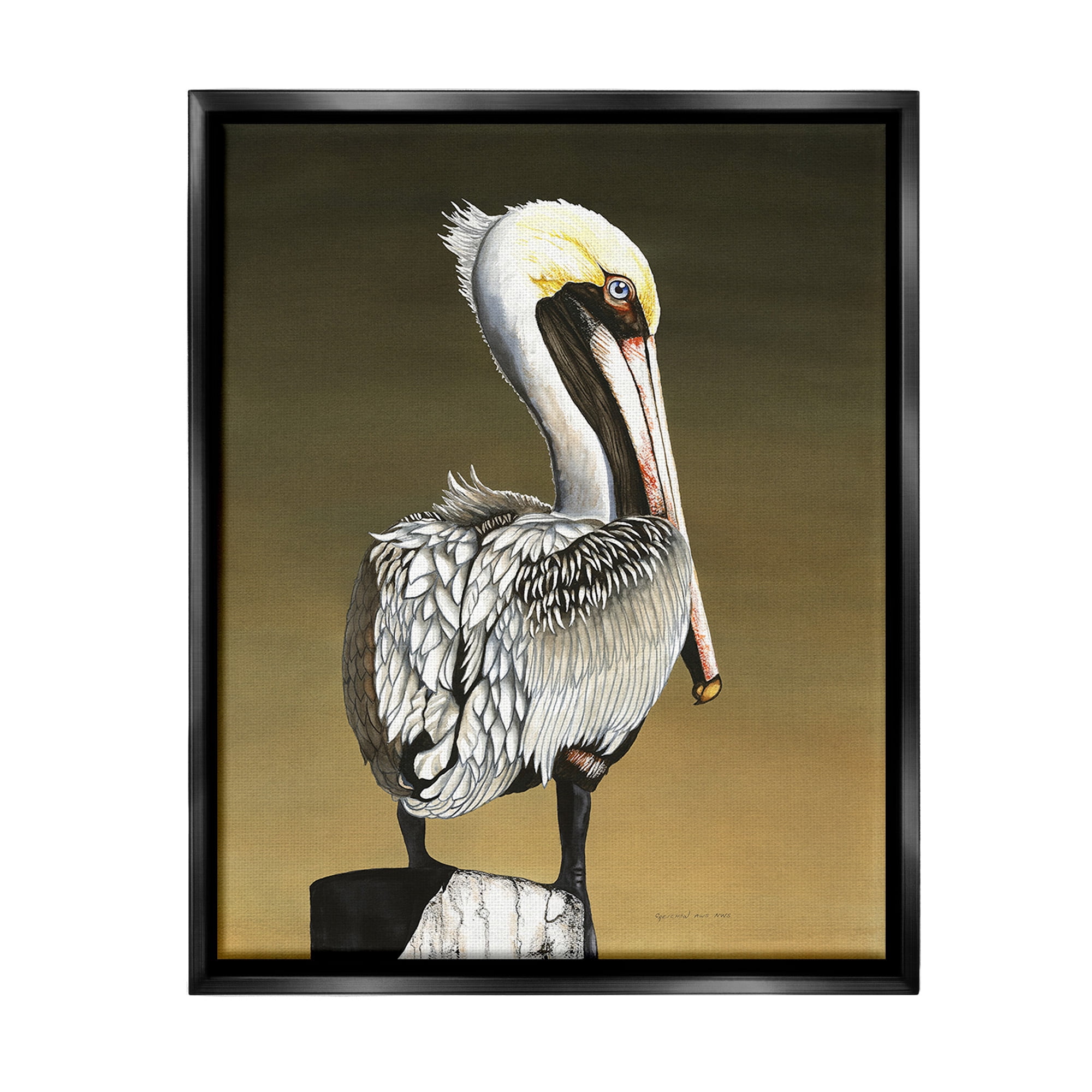 Stupell Industries Pelican with Intense Gaze Animals & Insects Painting Black Floater Framed Canvas Art Print Wall Art, 25 x 31