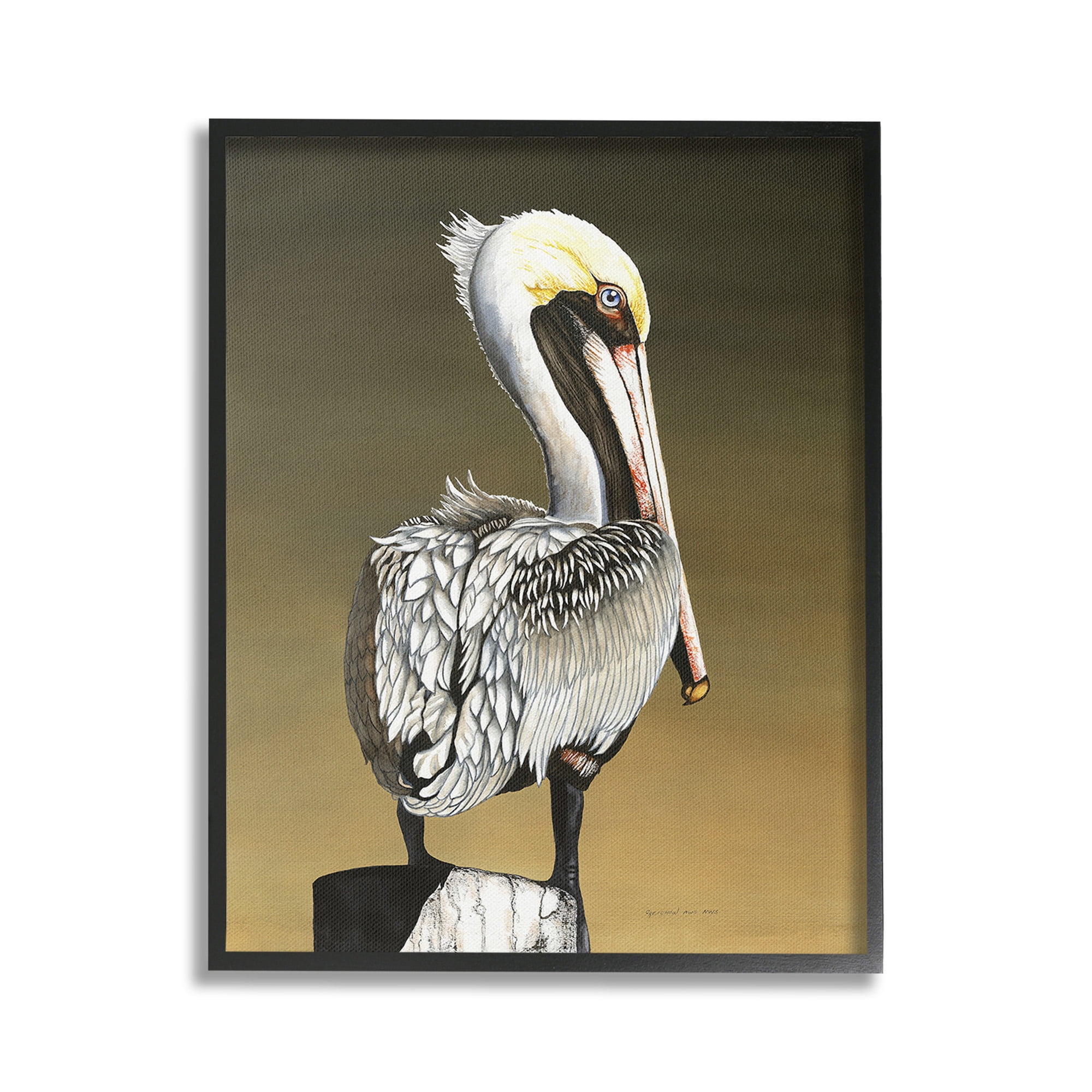 Stupell Industries Pelican with Intense Gaze Animals & Insects Painting Black Framed Art Print Wall Art, 16 x 20