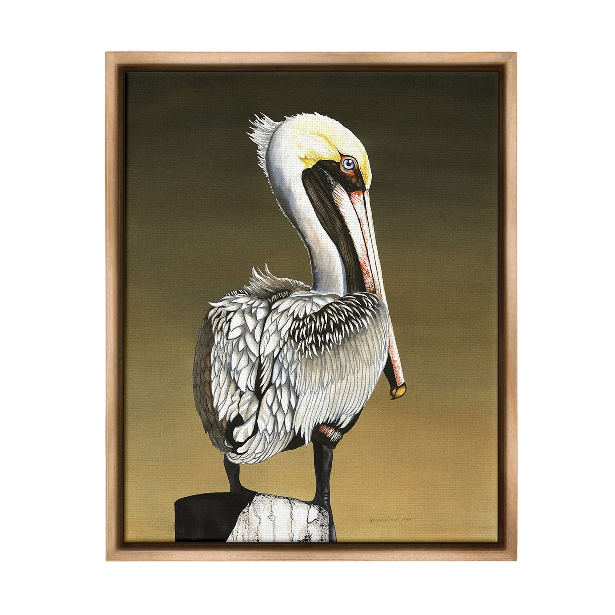 Stupell Industries Pelican with Intense Gaze Animals & Insects Painting Brown Floater Framed Canvas Art Print Wall Art, 17 x 21
