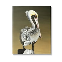 Stupell Industries Pelican with Intense Gaze Animals & Insects Painting Gallery Wrapped Canvas Art Print Wall Art, 16 x 20