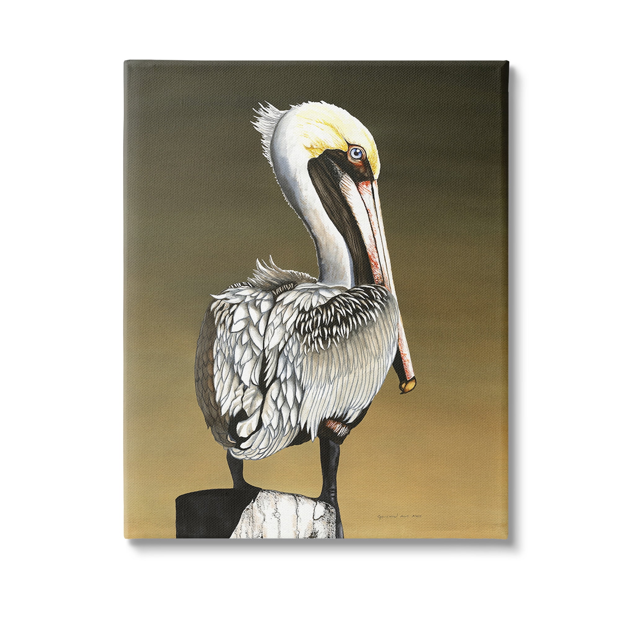 Stupell Industries Pelican with Intense Gaze Animals & Insects Painting Gallery Wrapped Canvas Art Print Wall Art, 30 x 40