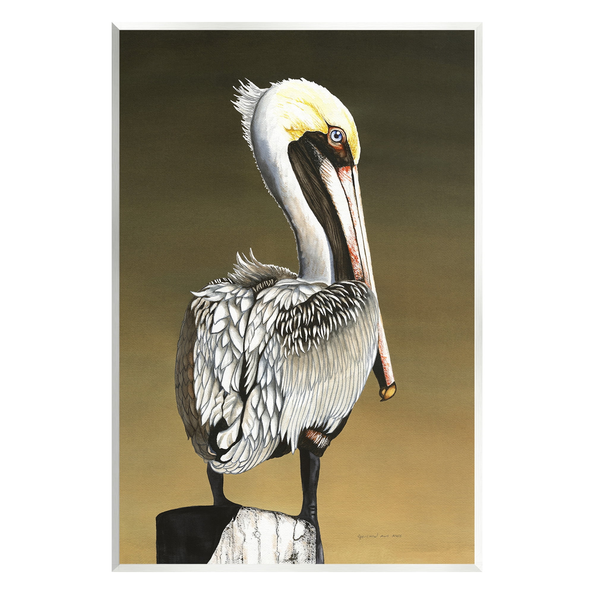 Stupell Industries Pelican with Intense Gaze Animals & Insects Painting Unframed Art Print Wall Art, 10 x 15