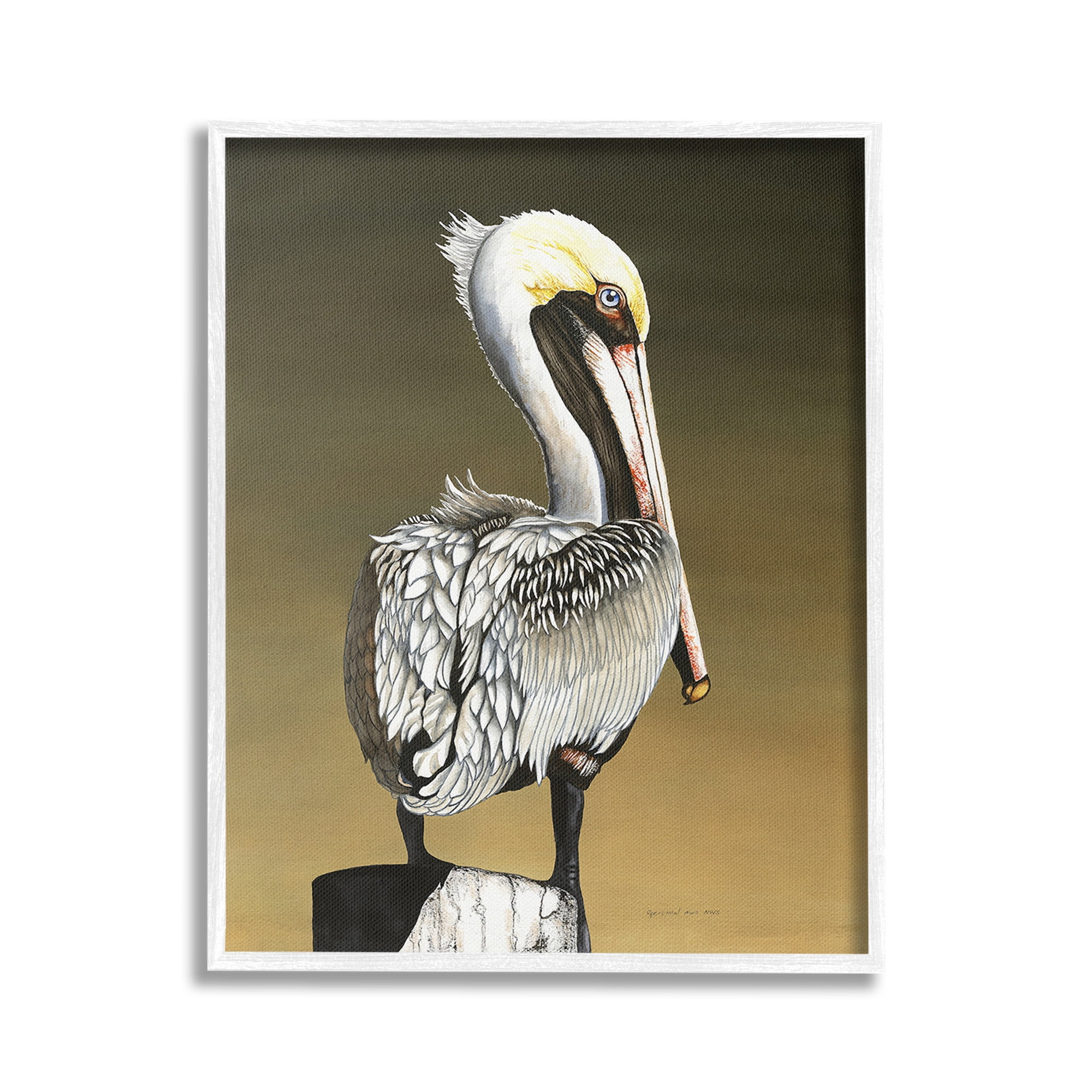 Stupell Industries Pelican with Intense Gaze Animals & Insects Painting White Framed Art Print Wall Art, 16 x 20