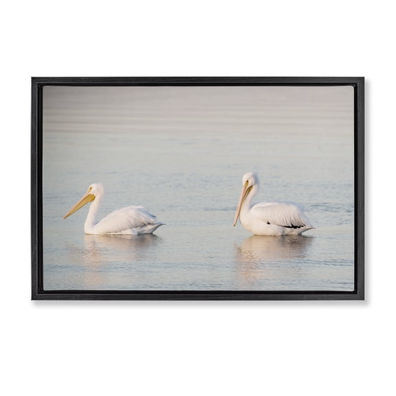 Stupell Industries Pelicans on Calm Waters Animals Photography Black Floater Framed Canvas Art Print Wall Art, 31 x 21