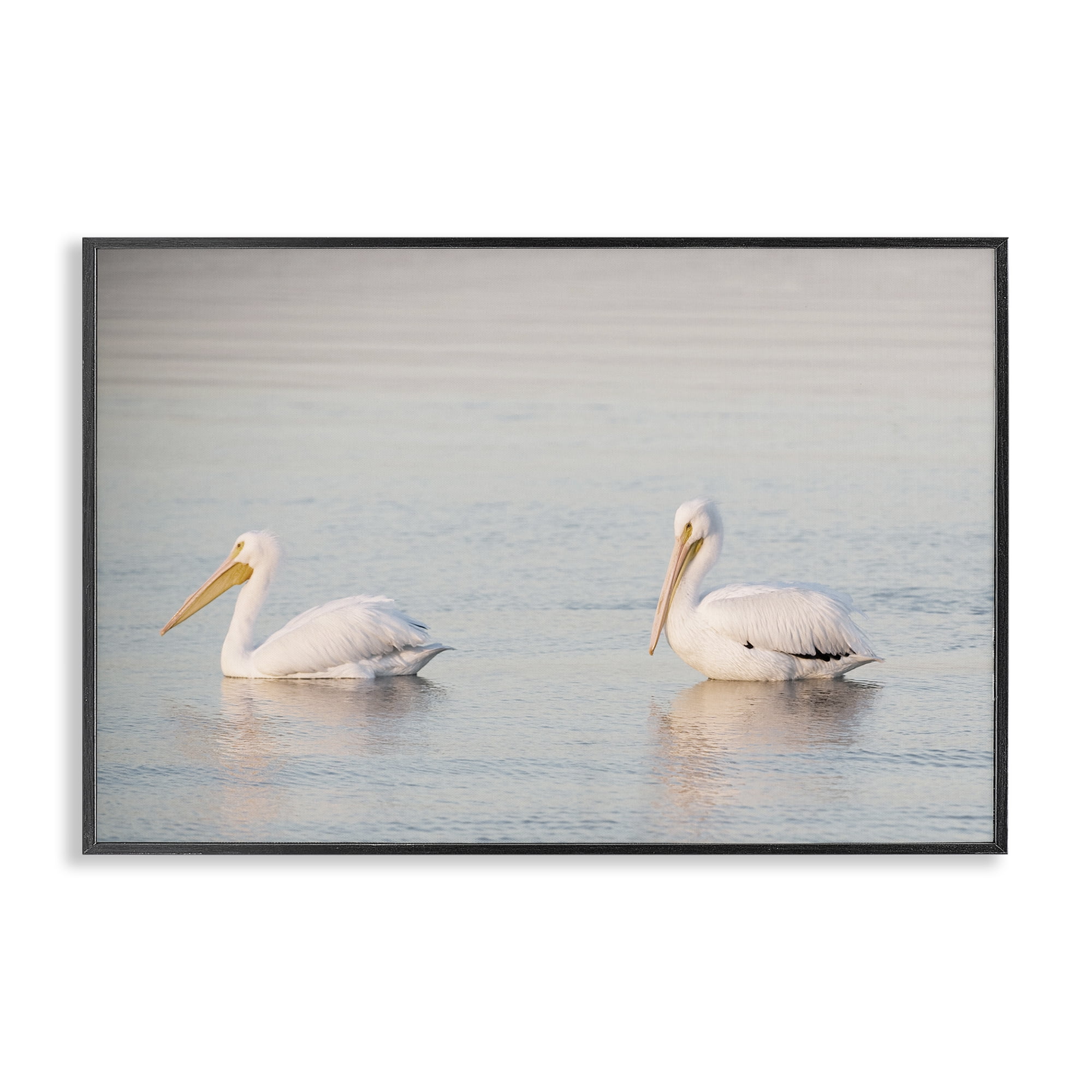 Stupell Industries Pelicans on Calm Waters Animals Photography Black Framed Art Print Wall Art, 24 x 16