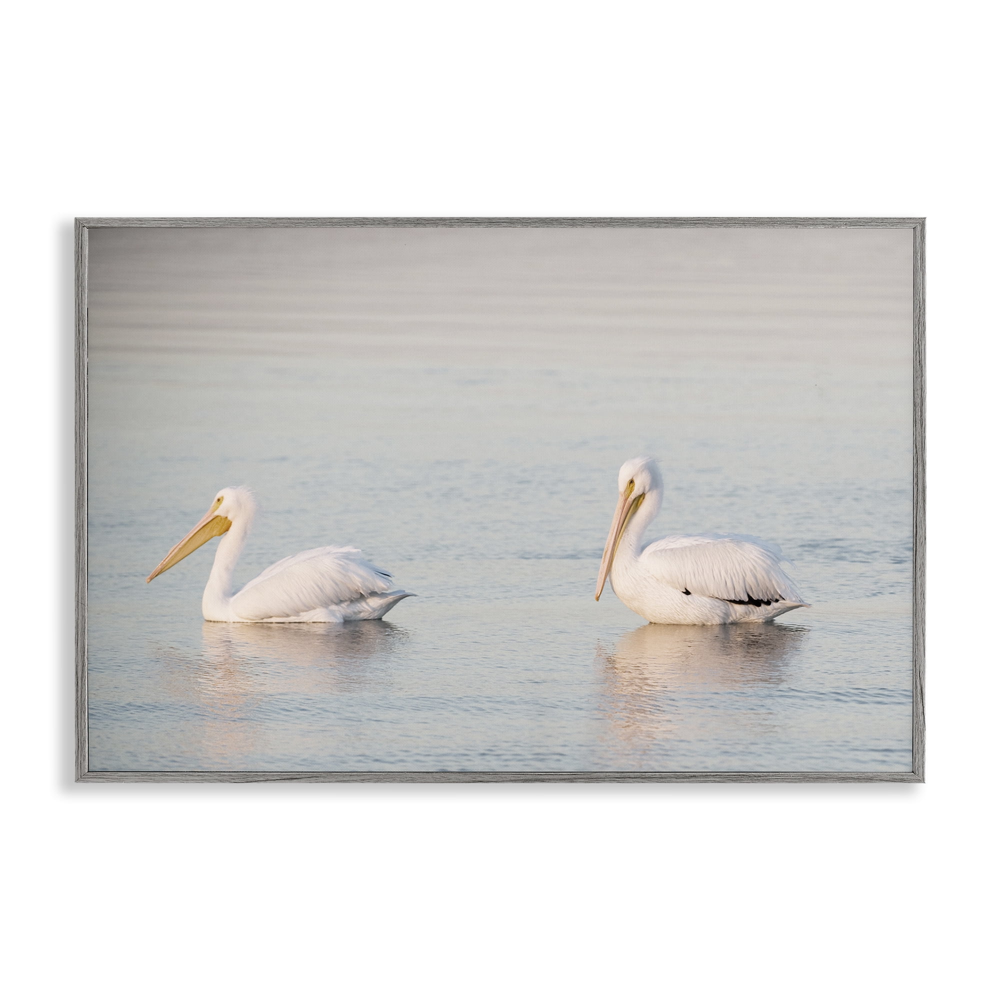 Stupell Industries Pelicans on Calm Waters Animals Photography Gray Framed Art Print Wall Art, 18 x 12