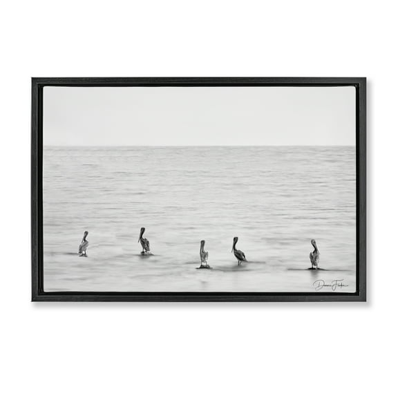 Stupell Industries Pelicans on Shore Landscape Photography Black Floater Framed Canvas Art Print Wall Art, 25 x 17