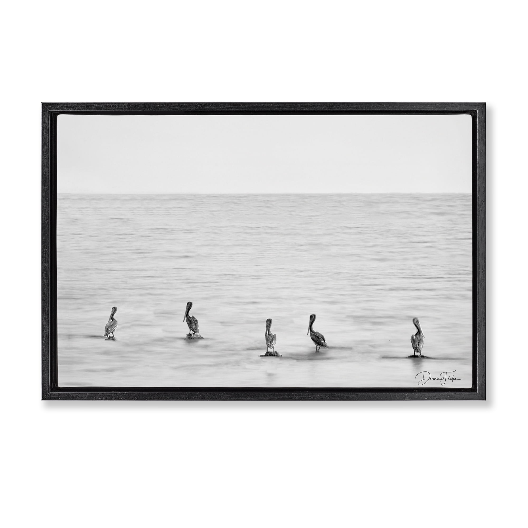 Stupell Industries Pelicans on Shore Landscape Photography Black Floater Framed Canvas Art Print Wall Art, 31 x 21