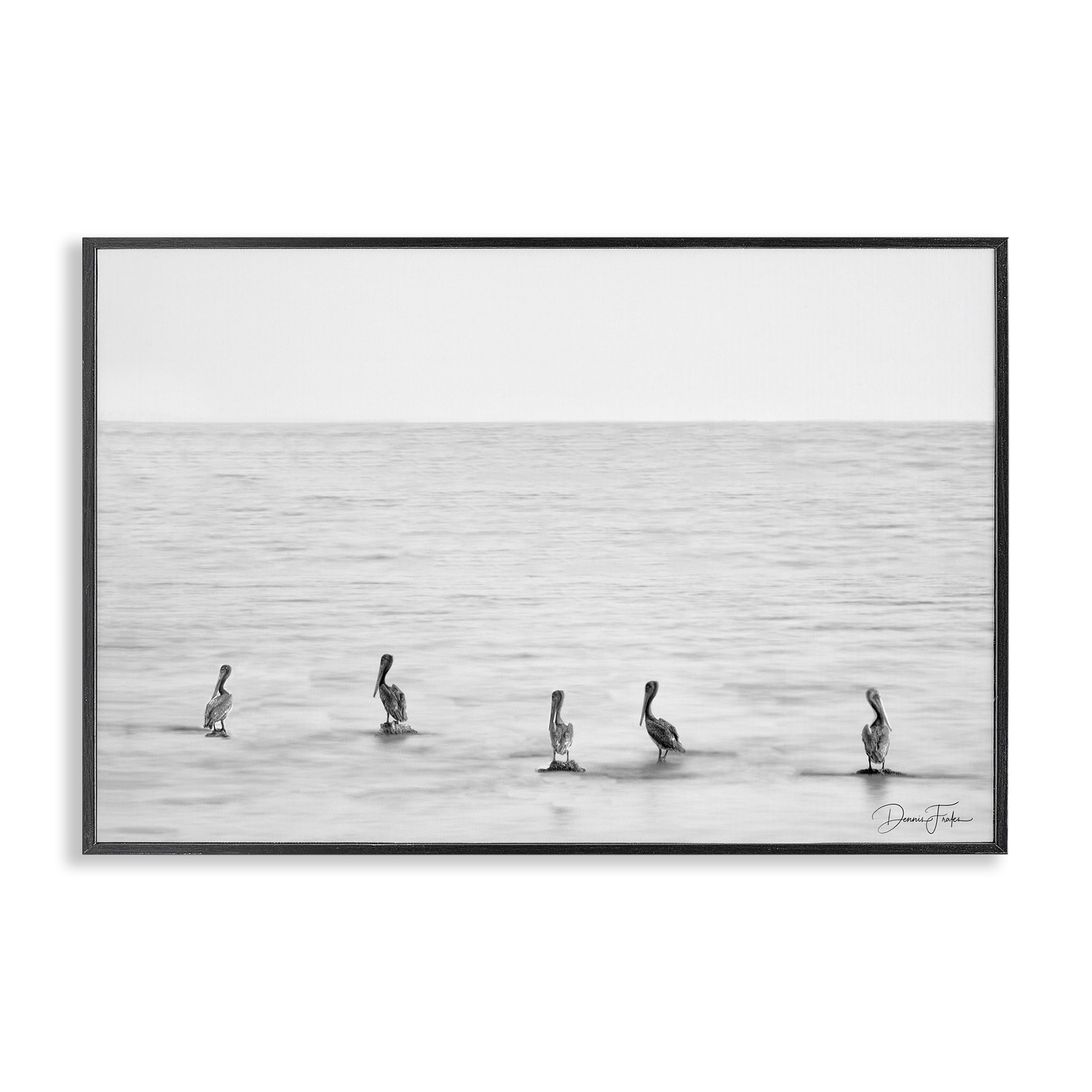 Stupell Industries Pelicans on Shore Landscape Photography Black Framed Art Print Wall Art, 30 x 20