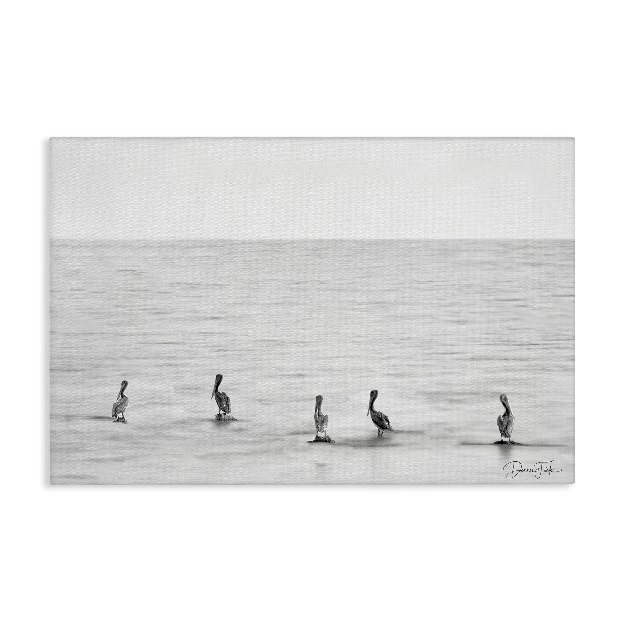 Stupell Industries Pelicans on Shore Landscape Photography Gallery Wrapped Canvas Art Print Wall Art, 45 x 30