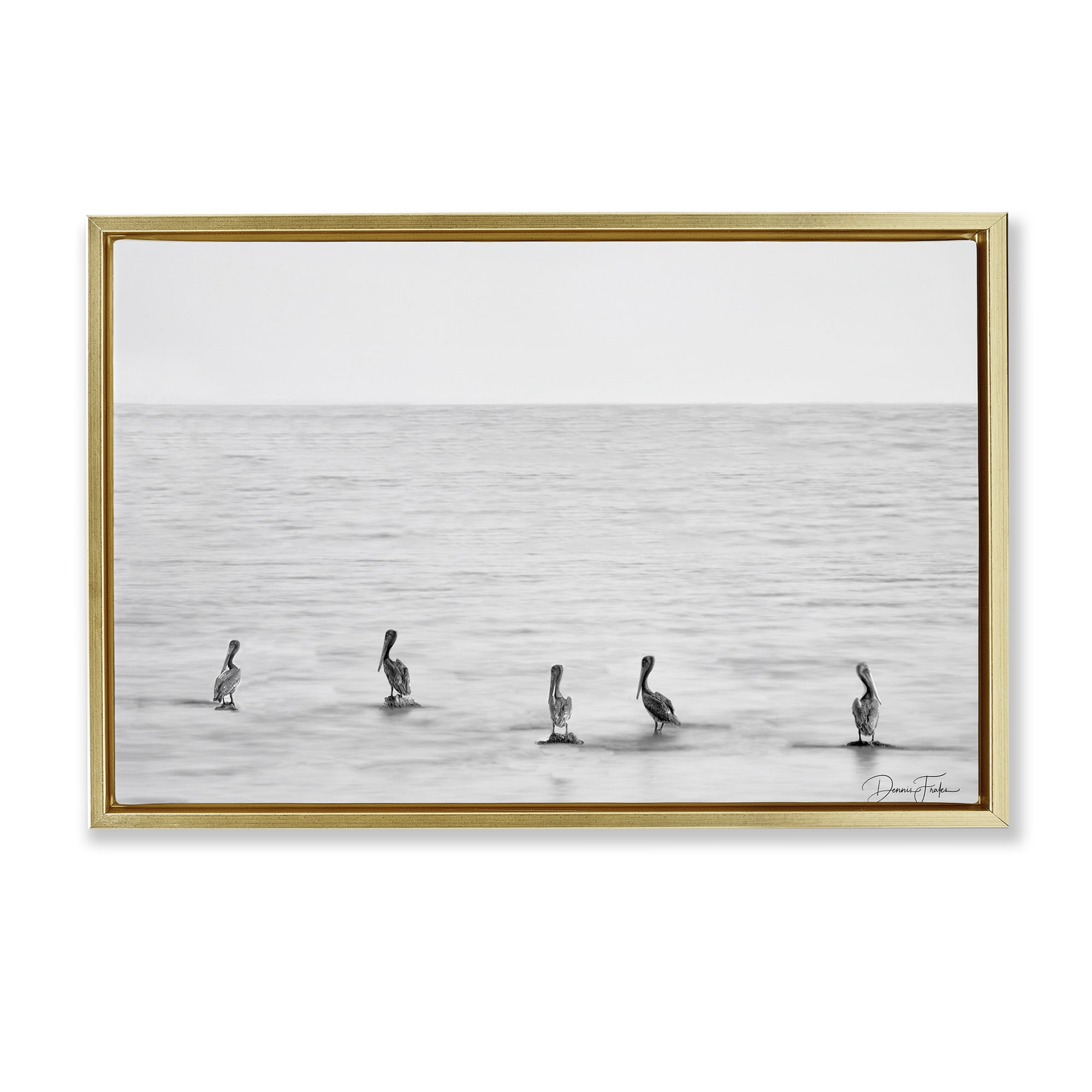 Stupell Industries Pelicans on Shore Landscape Photography Gold Floater Framed Canvas Art Print Wall Art, 25 x 17