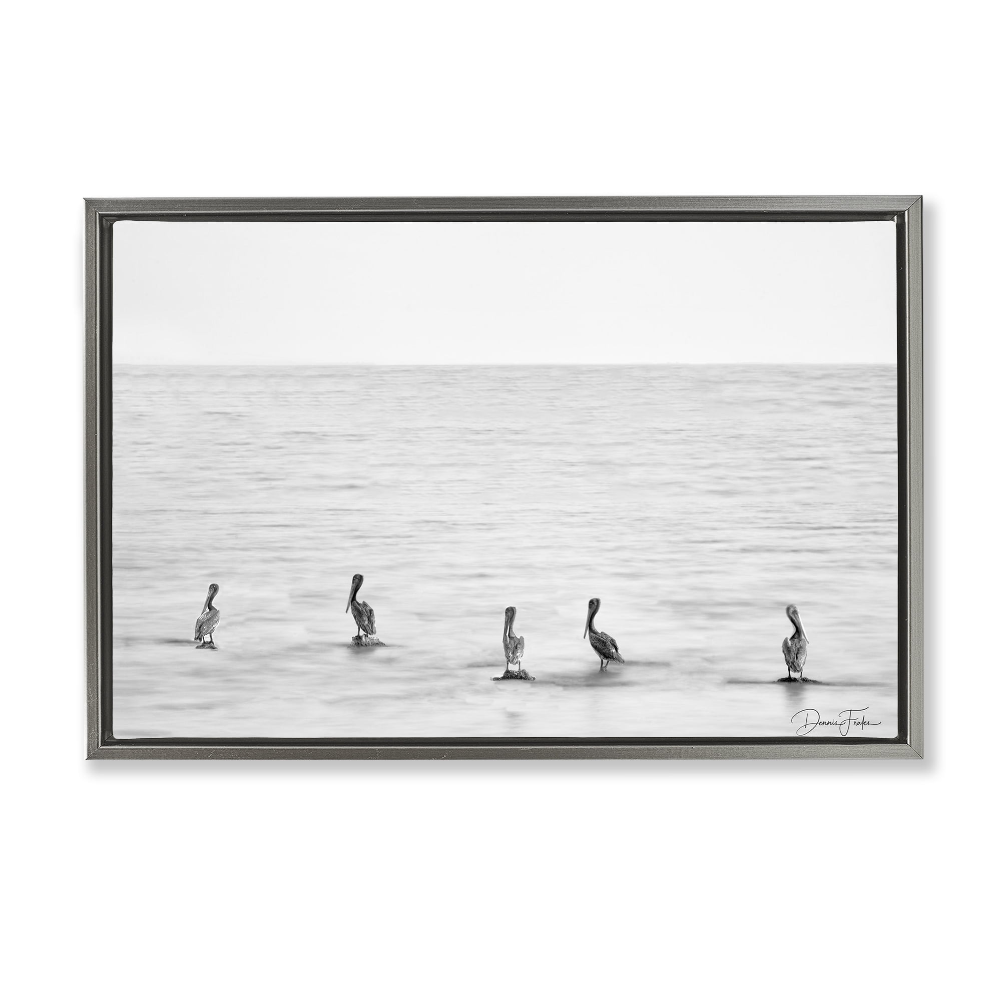 Stupell Industries Pelicans on Shore Landscape Photography Gray Floater Framed Canvas Art Print Wall Art, 25 x 17