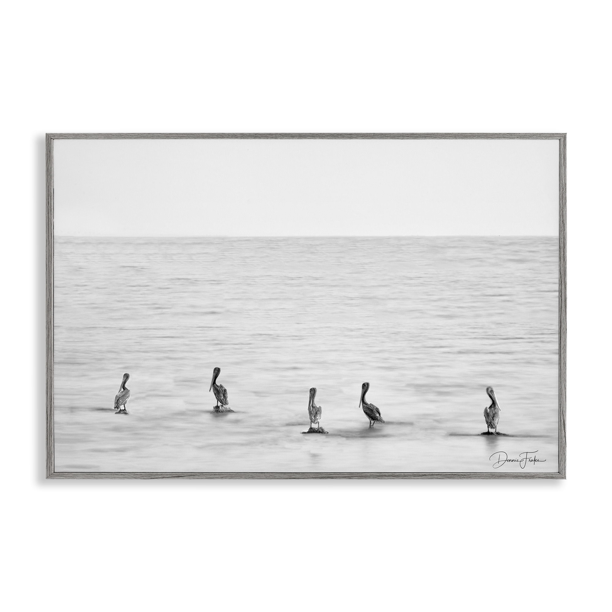 Stupell Industries Pelicans on Shore Landscape Photography Gray Framed Art Print Wall Art, 30 x 20