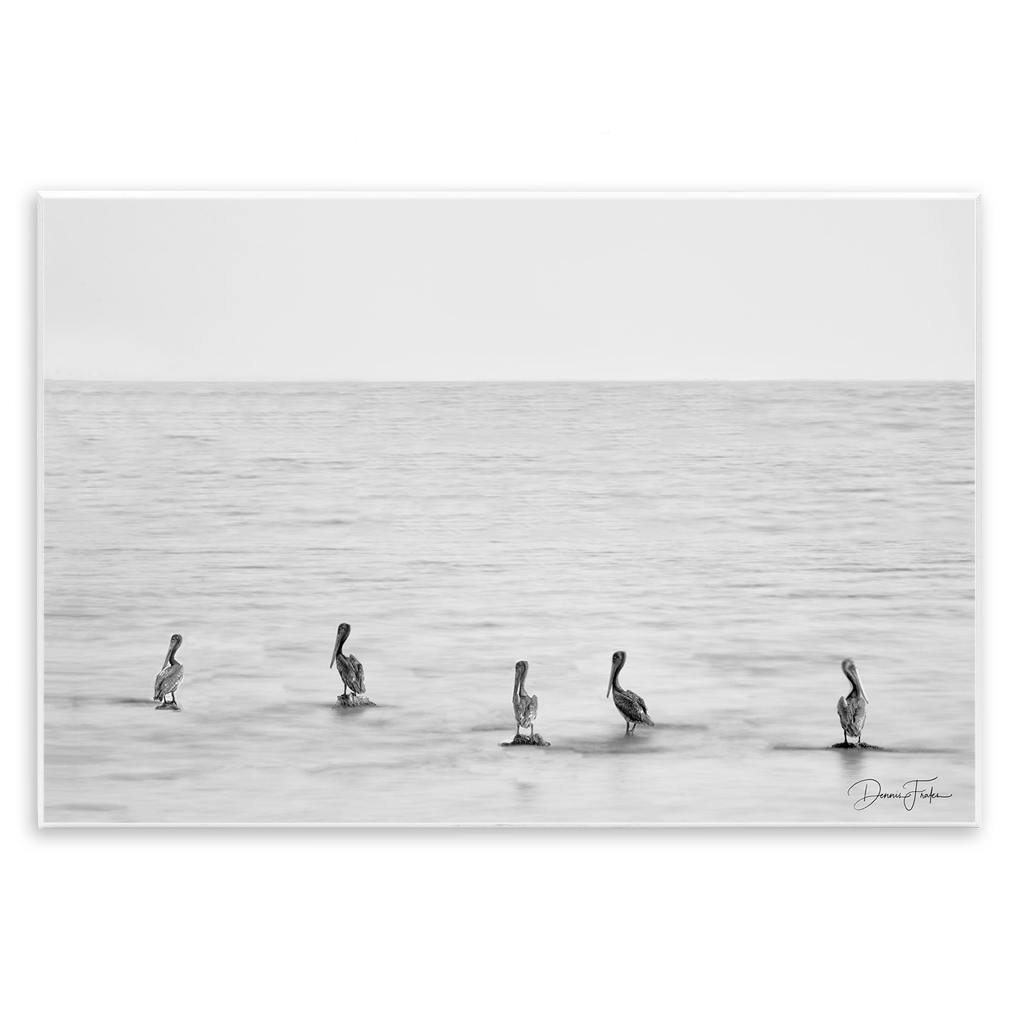 Stupell Industries Pelicans on Shore Landscape Photography Unframed Art Print Wall Art, 15 x 10