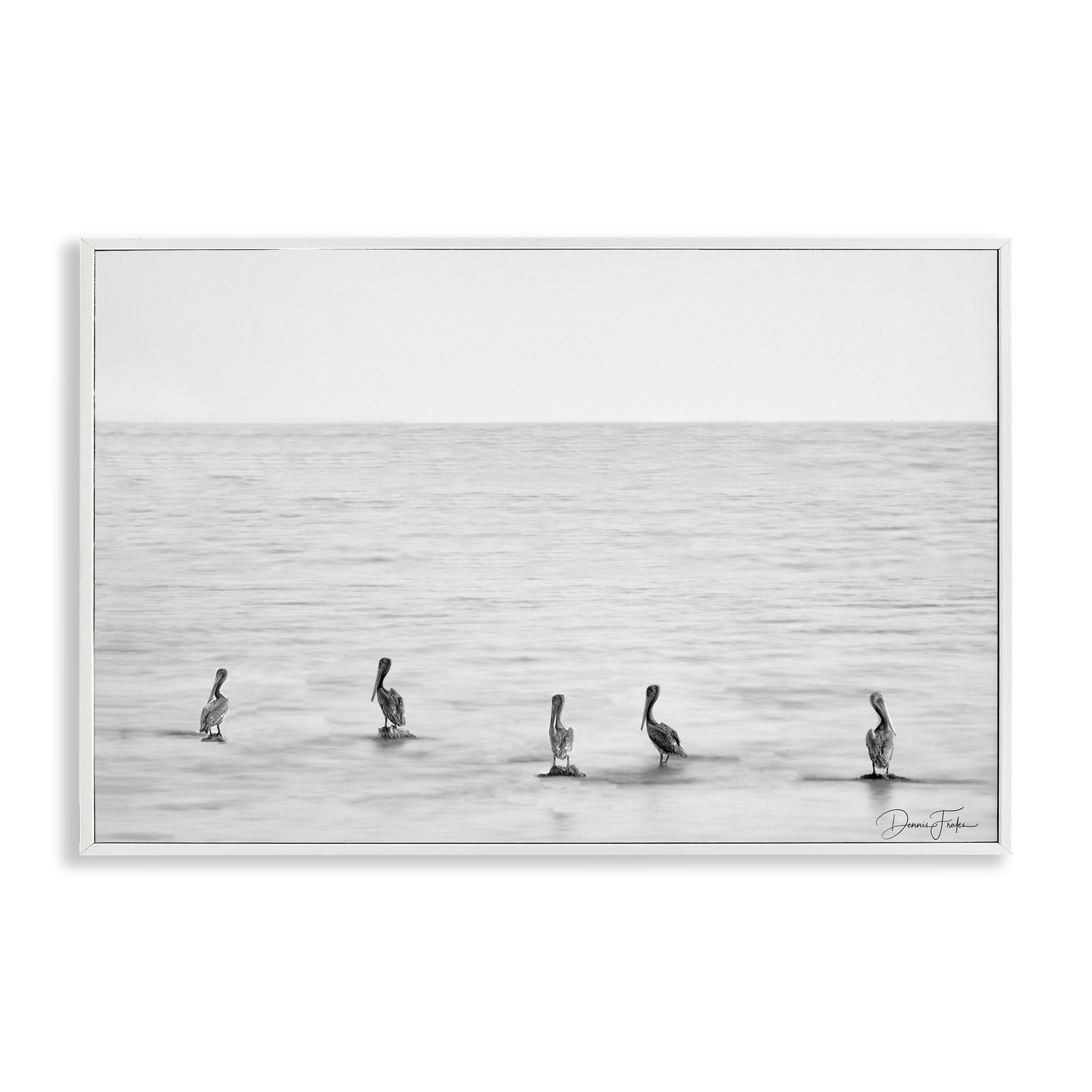 Stupell Industries Pelicans on Shore Landscape Photography White Framed Art Print Wall Art, 24 x 16
