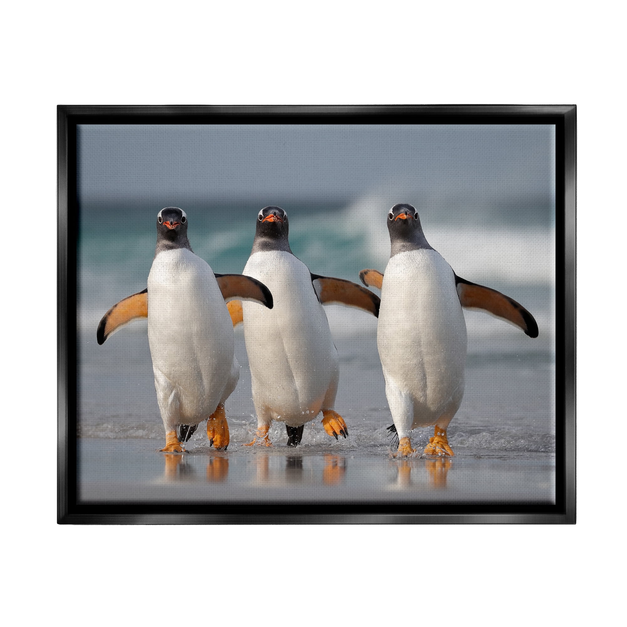 Stupell Industries Penguin Trio on Beach Animals & Insects Photography Black Floater Framed Canvas Art Print Wall Art, 31 x 25