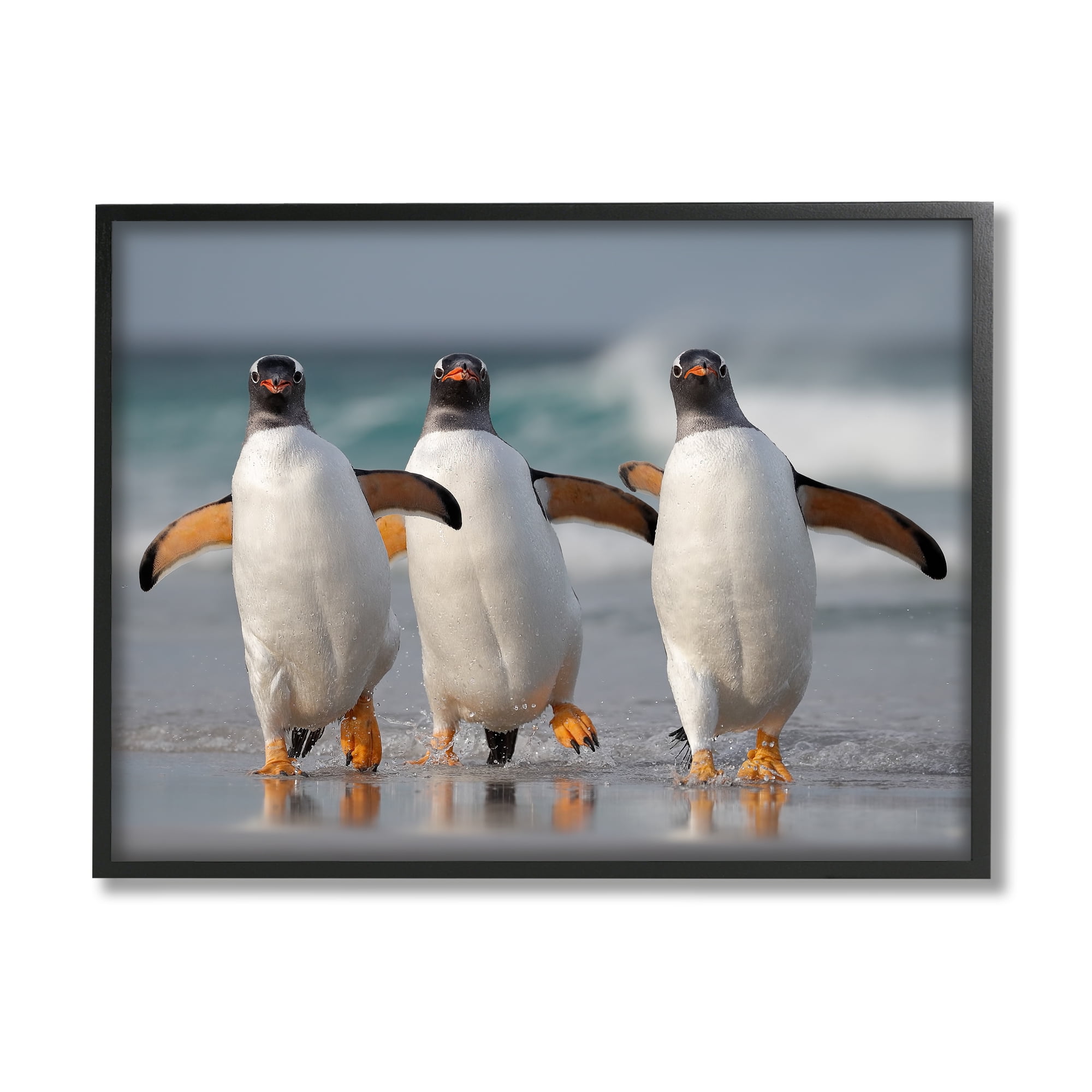 Stupell Industries Penguin Trio on Beach Animals & Insects Photography Black Framed Art Print Wall Art, 30 x 24