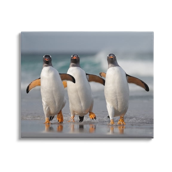 Stupell Industries Penguin Trio on Beach Animals & Insects Photography Gallery Wrapped Canvas Art Print Wall Art, 20 x 16
