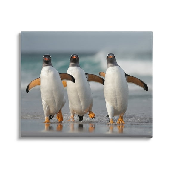 Stupell Industries Penguin Trio on Beach Animals & Insects Photography Gallery Wrapped Canvas Art Print Wall Art, 48 x 36