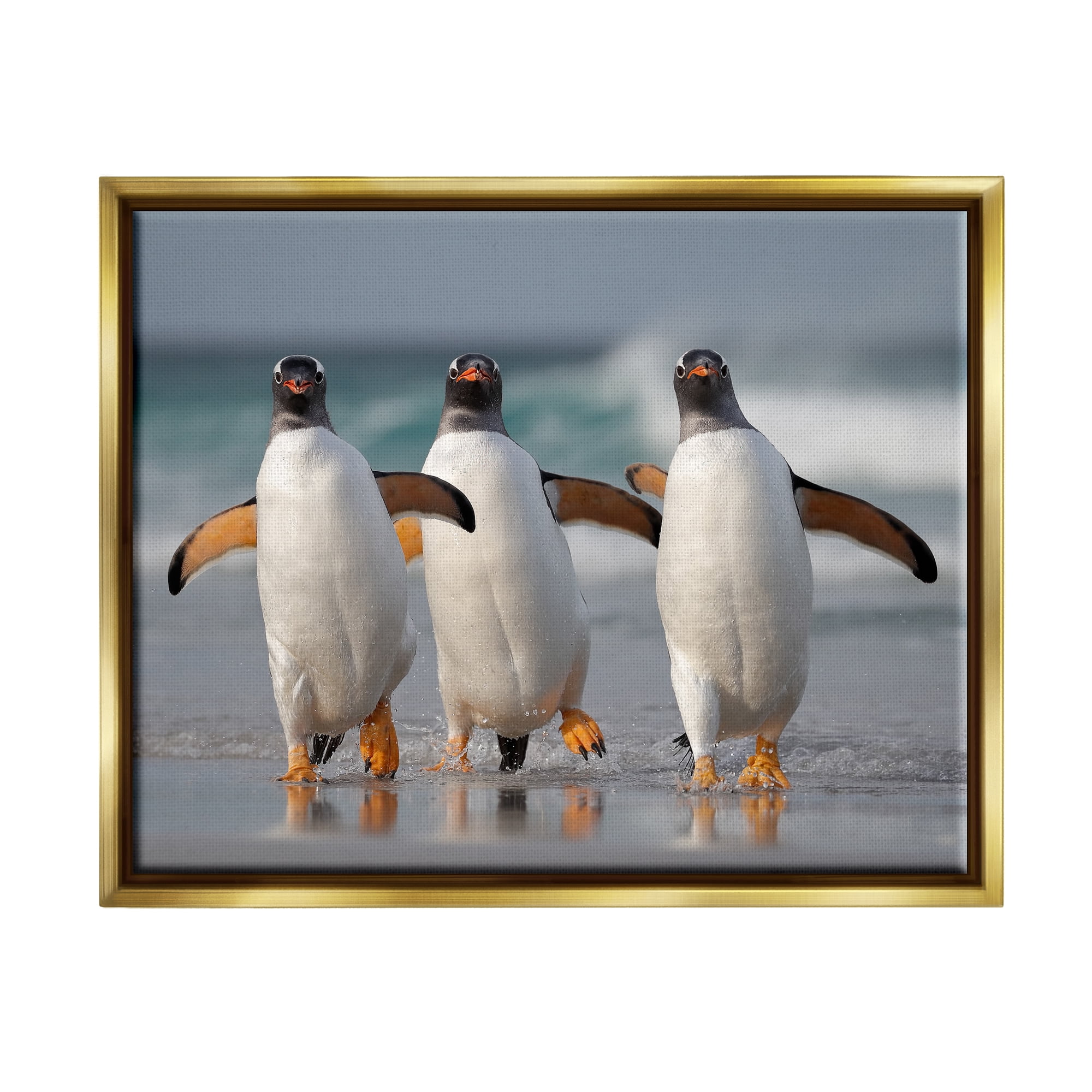 Stupell Industries Penguin Trio on Beach Animals & Insects Photography Gold Floater Framed Canvas Art Print Wall Art, 21 x 17
