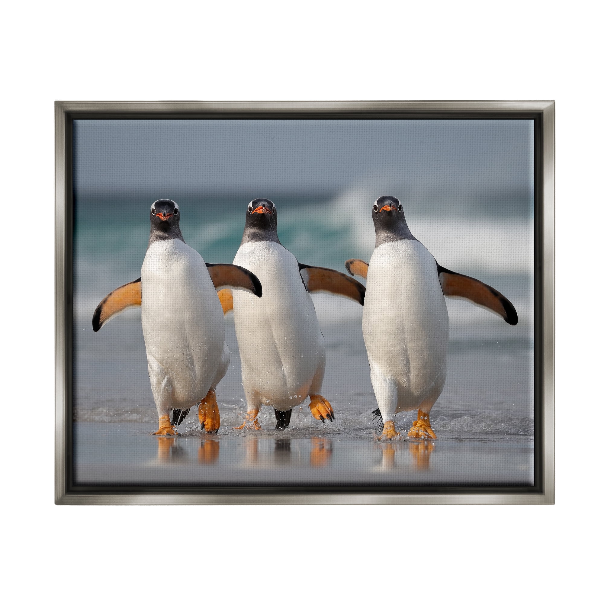 Stupell Industries Penguin Trio on Beach Animals & Insects Photography Gray Floater Framed Canvas Art Print Wall Art, 21 x 17