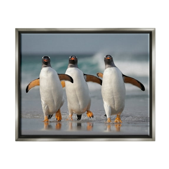 Stupell Industries Penguin Trio on Beach Animals & Insects Photography Gray Floater Framed Canvas Art Print Wall Art, 31 x 25