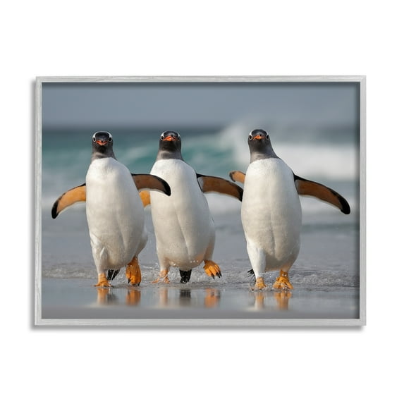 Stupell Industries Penguin Trio on Beach Animals & Insects Photography Gray Framed Art Print Wall Art, 20 x 16