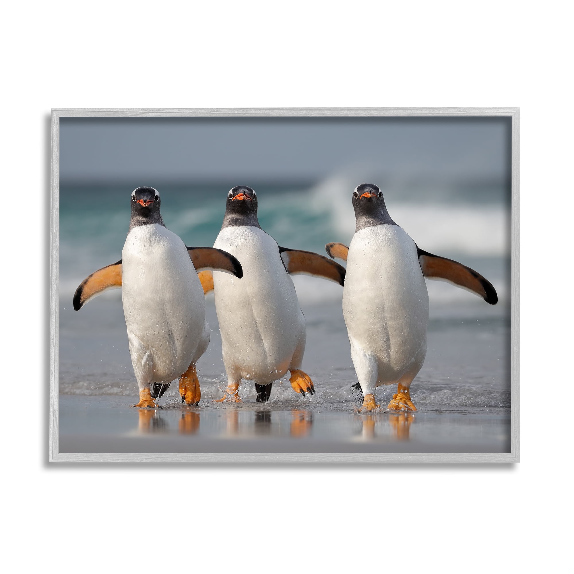 Stupell Industries Penguin Trio on Beach Animals & Insects Photography Gray Framed Art Print Wall Art, 30 x 24