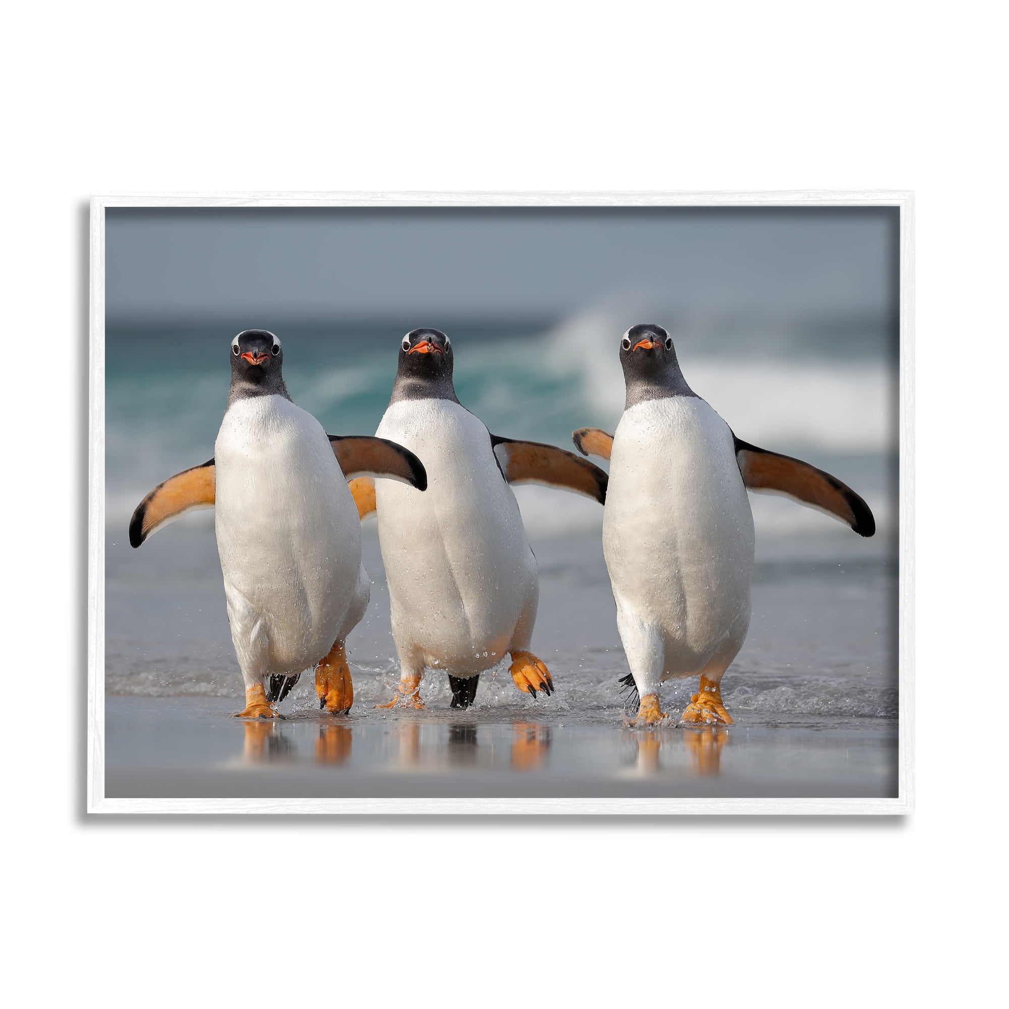 Stupell Industries Penguin Trio on Beach Animals & Insects Photography White Framed Art Print Wall Art, 30 x 24