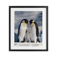 thumbnail image 1 of Stupell Industries Contemporary Penguins In The Wild Black Framed Print Under Glass, 13 x 16, by Scott Stulberg, 1 of 8