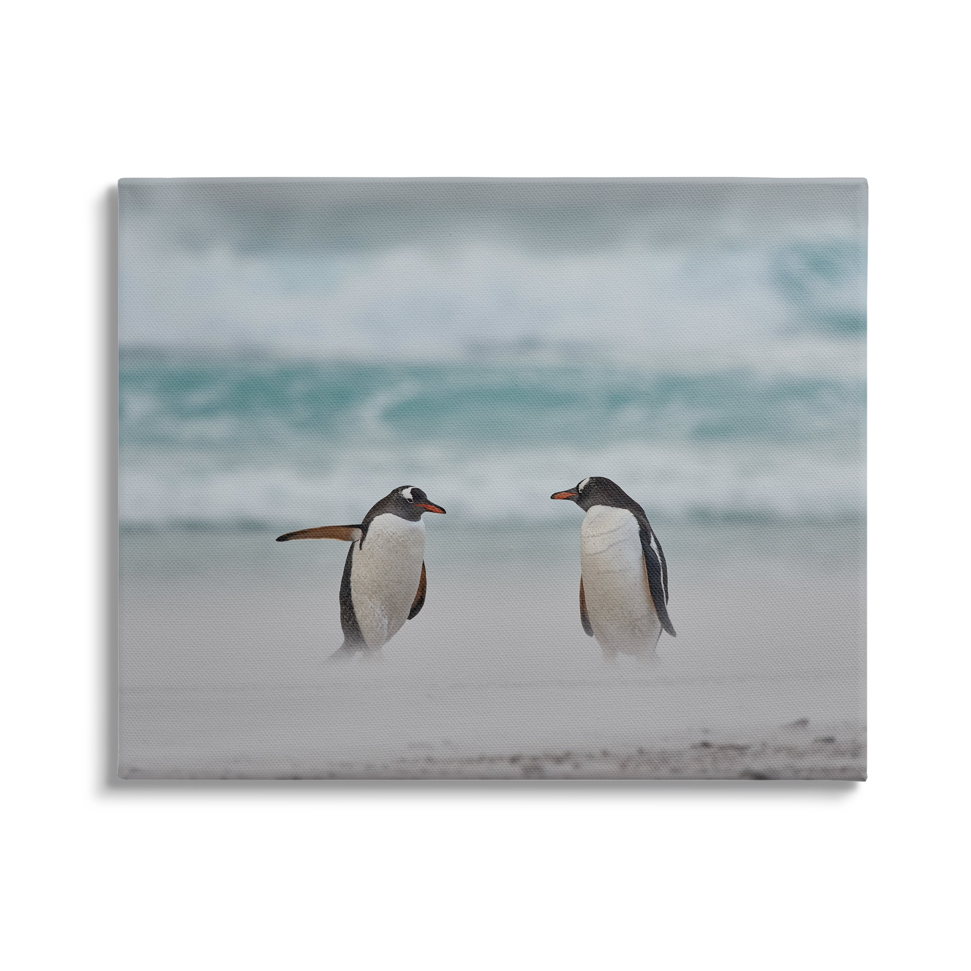 Stupell Industries Penguins on Arctic Beach Animals & Insects Photography Gallery Wrapped Canvas Art Print Wall Art, 20 x 16