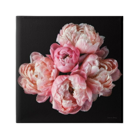 Stupell Industries Peonies on Black Botanical & Floral Photography Gallery Wrapped Canvas Art Print Wall Art, 17 x 17