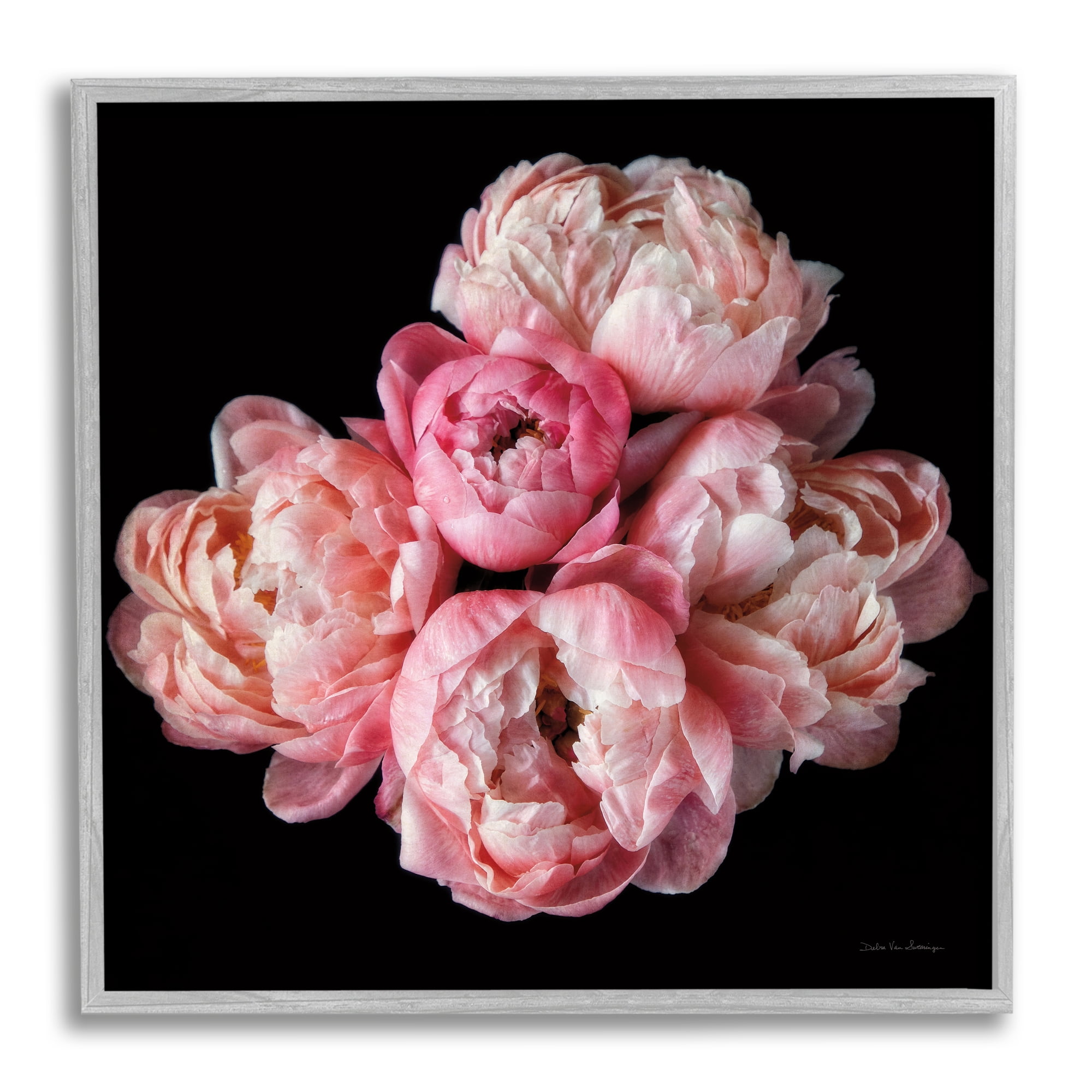Stupell Industries Peonies on Black Botanical & Floral Photography Gray Framed Art Print Wall Art, 17 x 17