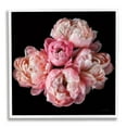 thumbnail image 1 of Stupell Industries Peonies on Black Botanical & Floral Photography White Framed Art Print Wall Art, 17 x 17, 1 of 9