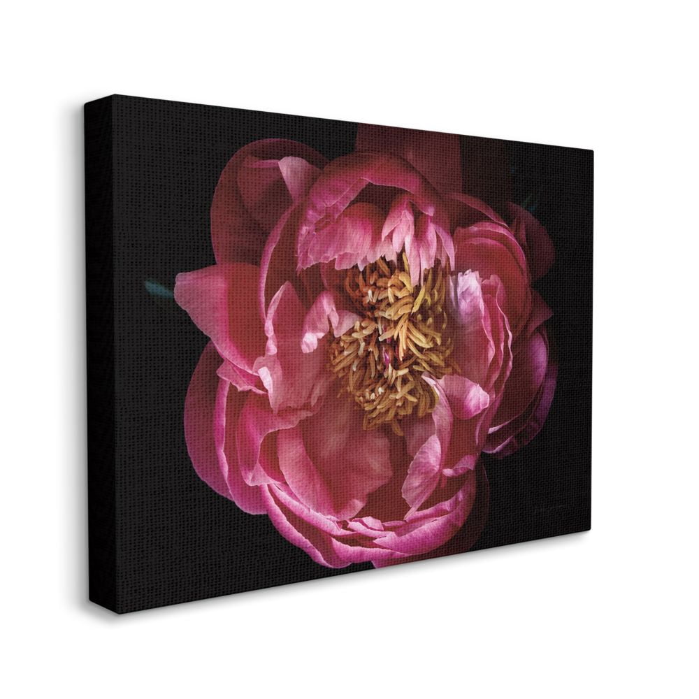Stupell Industries Peony Flower Pistil Minimal Pink Yellow Photograph Canvas Wall Art Design by Elise Catterall, 16" x 20"