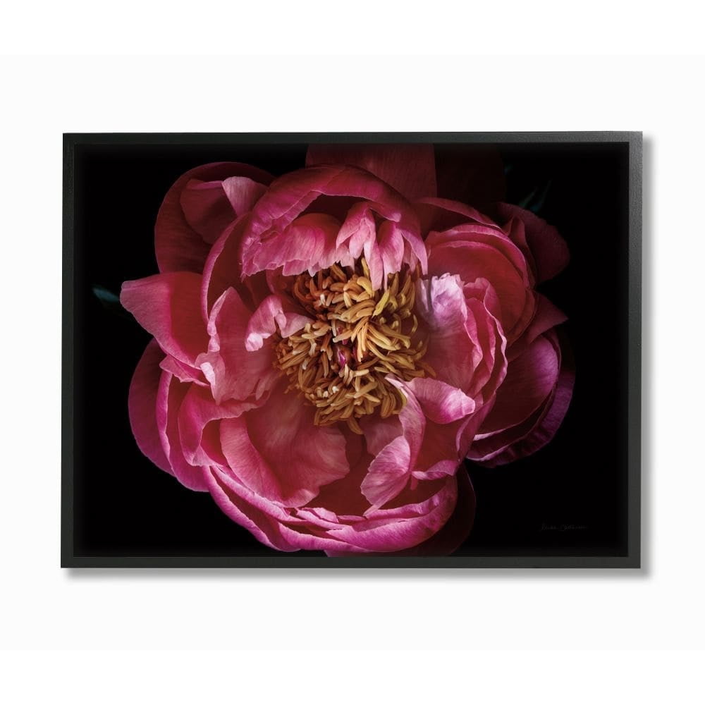 Stupell Industries Peony Flower Pistil Minimal Pink Yellow Photograph Framed Wall Art Design by Elise Catterall, 16" x 20", Black Framed