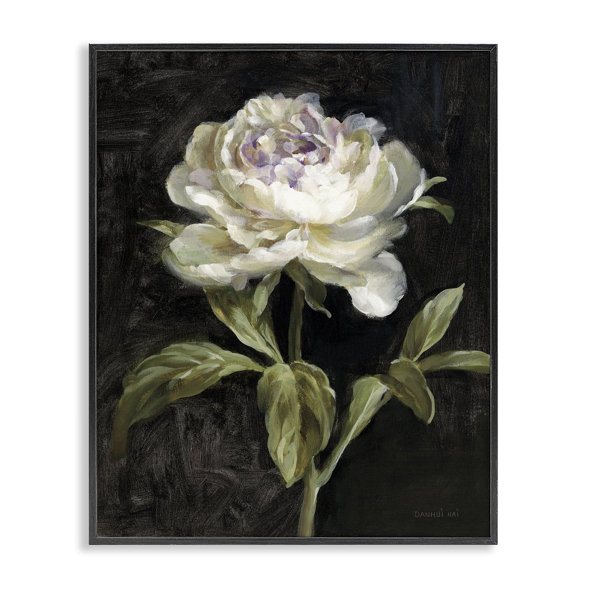 Stupell Industries Peony on Black Plants & Flowers Painting Black Framed Art Print Wall Art, 16 x 20