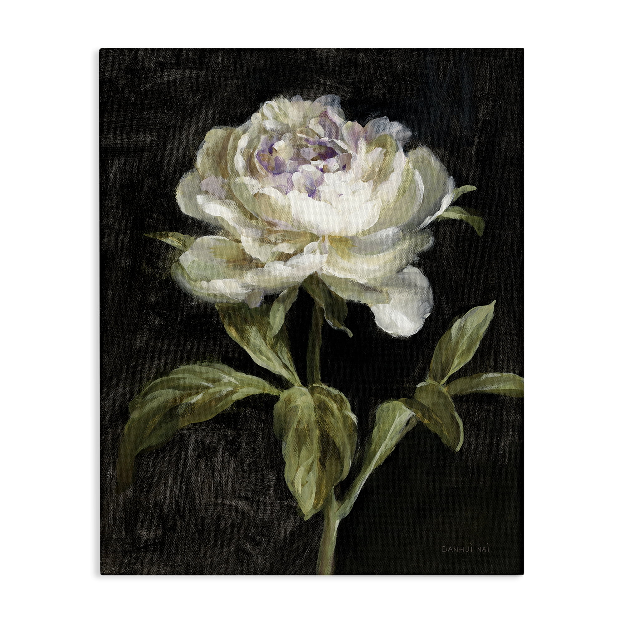 Stupell Industries Peony on Black Plants & Flowers Painting Wrapped Canvas Art Print Wall Art, 16 x 20